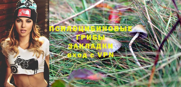 бошки Володарск